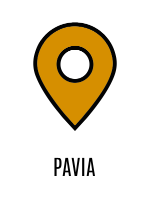 FLAG PAVIA FLAG PAVIA